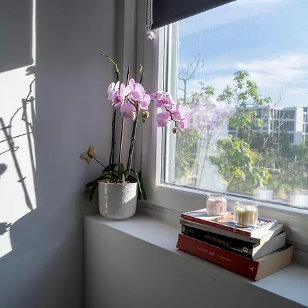 Blu Milano Relax Apartment-2